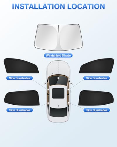 Sunshades for 2024 (5 Count)