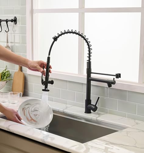 Black Kitchen Faucet