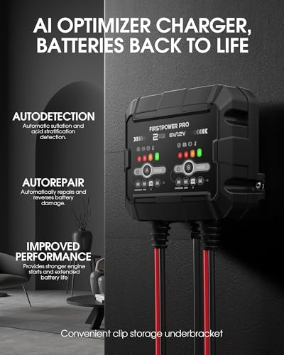 2-Bank, 4A (2A/Bank) Trickle Charger for Car Battery, 12V 6V Car Battery Charger, Automotive Battery Trickle Charger, Maintainer, for Motorcycle Lawn Mower AGM, Lithium Batteries - 1PC