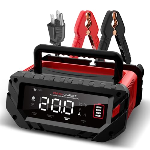20A Car Battery Charger