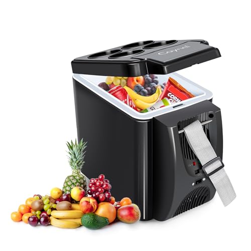 12V 6 Quart Personal Thermoelectric