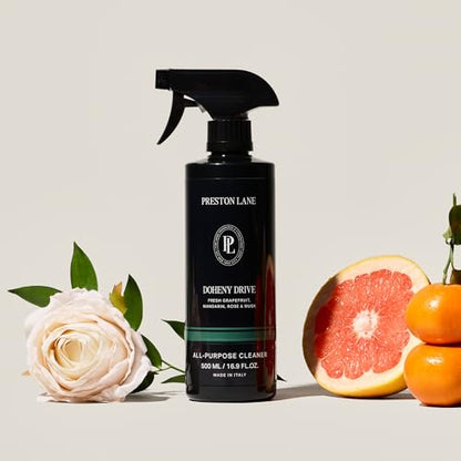 All Purpose Cleaner Spray 16.9oz Multi (10.1 Fl Oz)