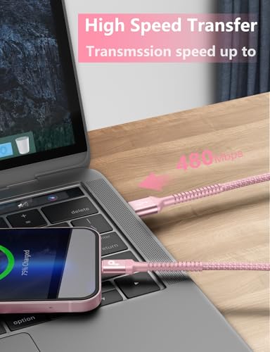 iPhone Charger 6FT 2Pack (12 Foot)