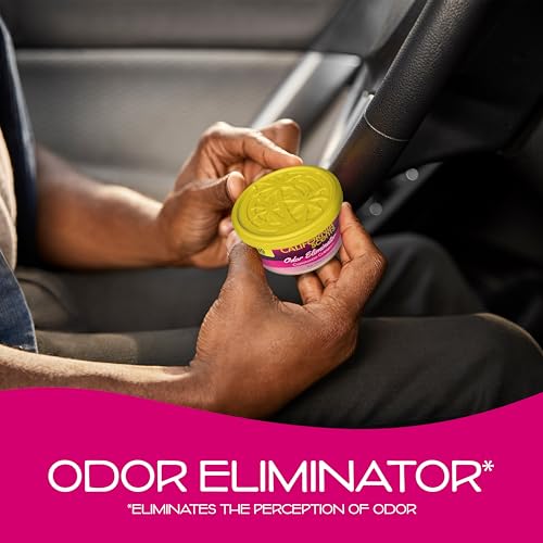 Car Air Freshener (90 Ounce)