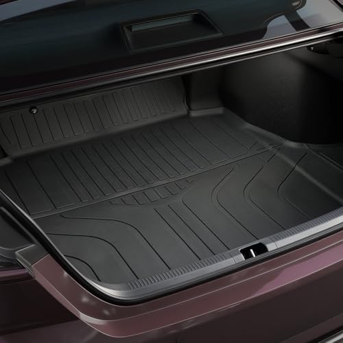 Cargo Mat for 2025