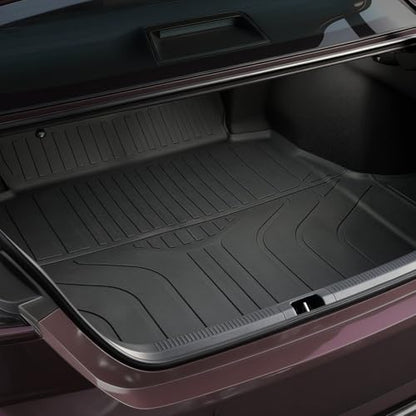 Cargo Mat for 2025