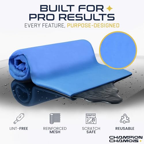 Car Shammy Cloth (2 Count)