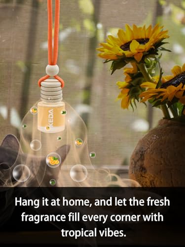 IKEDA Car Air Freshener