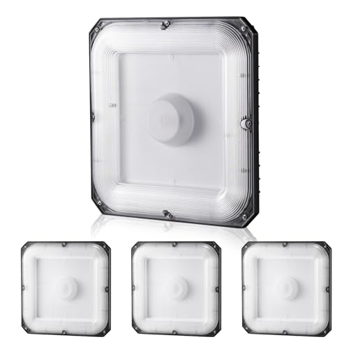 4 Pack LED Canopy Lights (4 Count)