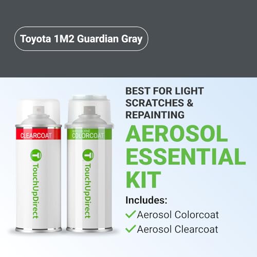 Car Paint Touch Up Spray Kit
