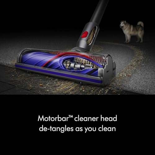 V8™ Cordless Vacuum