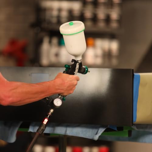 Paint Shop Finish System (32 Fl Oz)