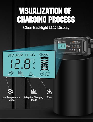 12V 10A Battery Charger for Lead