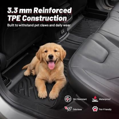 Floor Mats for F