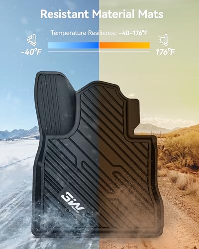 Floor Mats Fit for 2020