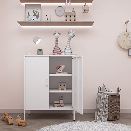Metal Storage Cabinet with Doors and Shelves