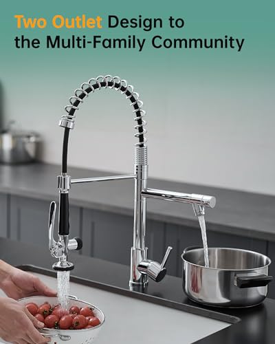 Chrome Kitchen Faucet with Sprayer
