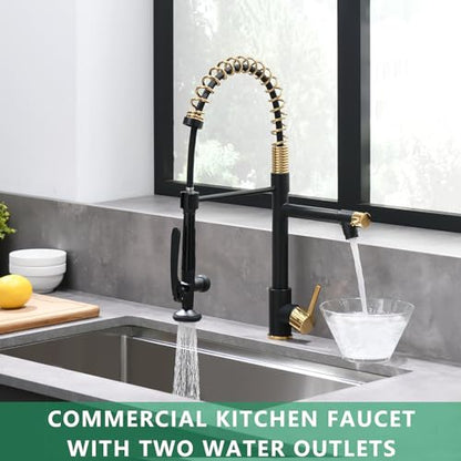 Black&Gold Kitchen Faucet with Sprayer