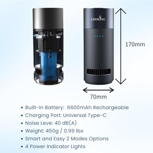 Ozone Generator for Car Odor Removal