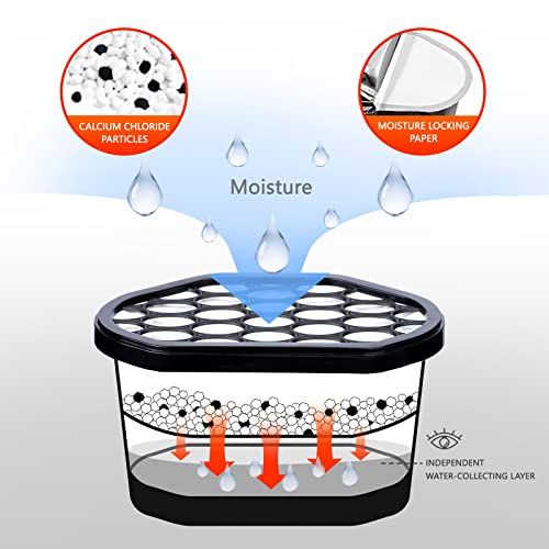 10.5 OZ Moisture Absorber (6 Count)