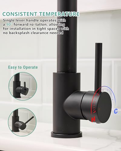 Black Kitchen Faucet with Pull Down Sprayer