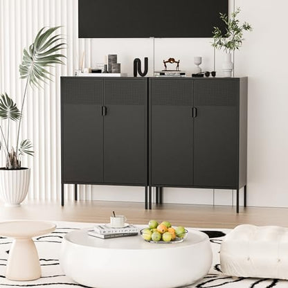 2 Mesh Door Metal Storage Cabinet with Adjustable Shelves