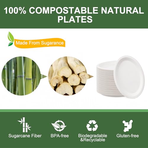100% Compostable Oval Paper Plates 12 Inch (125 Count)