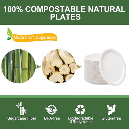 100% Compostable Oval Paper Plates 12 Inch (125 Count)