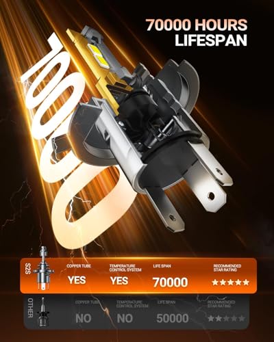 H4 Light Bulb 80 (2 Count)