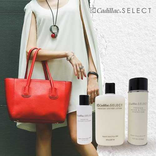 Select Premium Leather Care Kit