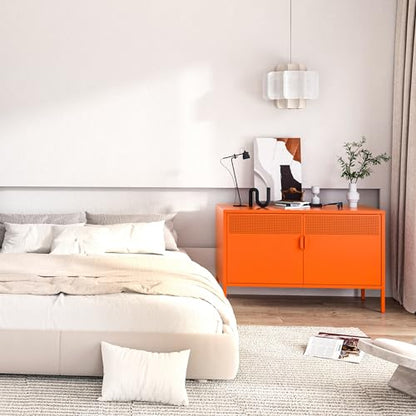 2 Door Accent Cabinet
