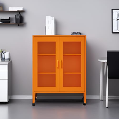 Metal Storage Cabinet with Mesh Doors
