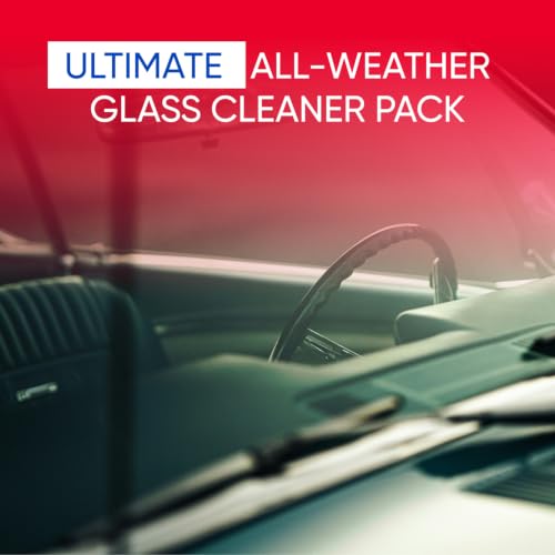 Windshield Washer Fluid 1 Gallon (256 Fl Oz)