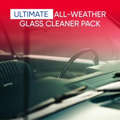 Windshield Washer Fluid 1 Gallon (256 Fl Oz)