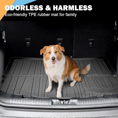 Trunk Cargo Mat for 2020
