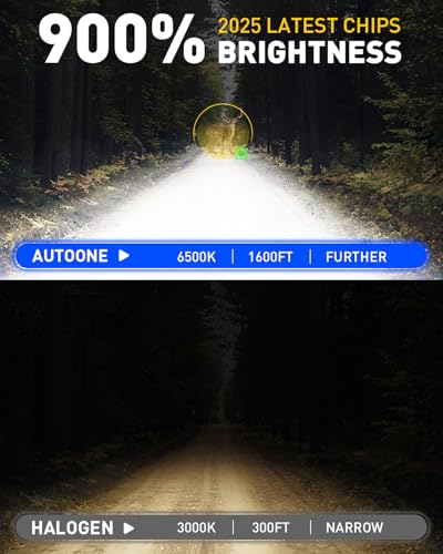 9003 H4 HB2 LED Bulb (2 Count)