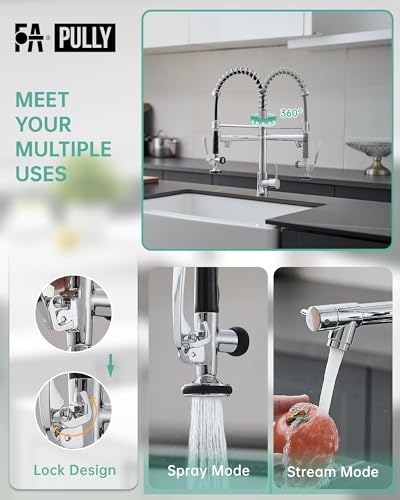 Chrome Kitchen Faucet with Sprayer