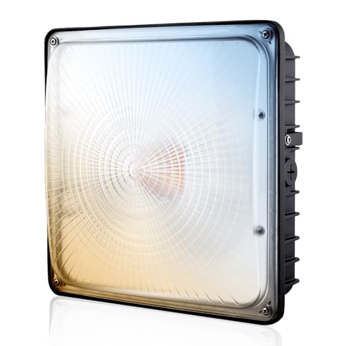LED Canopy Light 100W