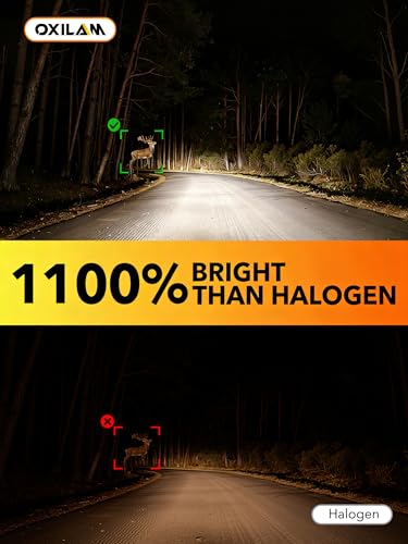 H13 LED Light Bulb (2 Count)
