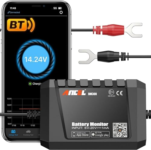 BM300 12V Battery Monitor