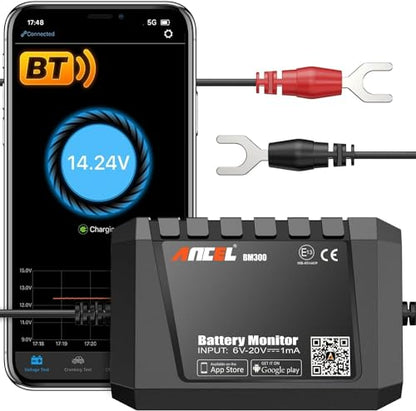 BM300 12V Battery Monitor
