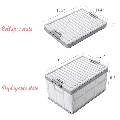 Collapsible Storage Bins with Lids 30L (2 Count)