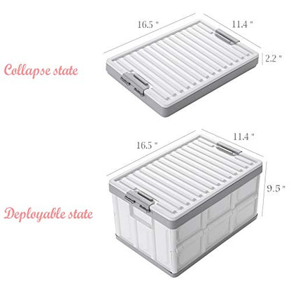 Collapsible Storage Bins with Lids 30L (2 Count)