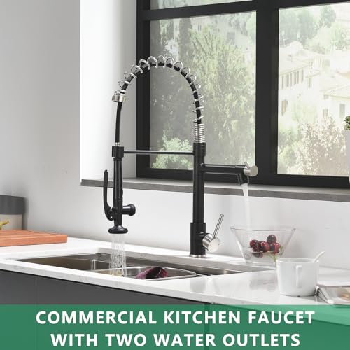 Pull Down Kitchen Faucet with Sprayer Commercial