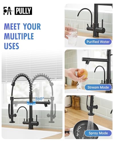 3 in 1 Kitchen Sink Faucet with Drinking Water Faucet Matte Black