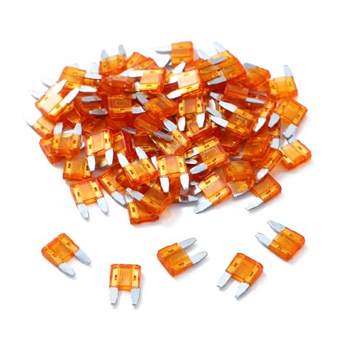 100 Pack Auto Fuses 5 AMP APM (100 Count)