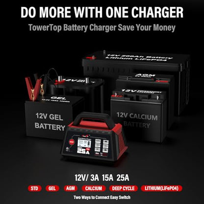 25A Max Pro Battery Charger