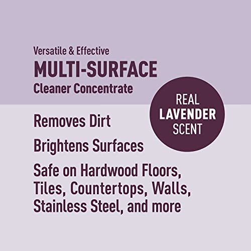 Amazon Brand Presto! Multi (64 Fl Oz)