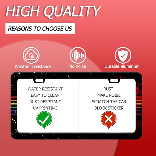 Gay Rainbow Line License Plate Frame Funny LGBT License Plate Frames
