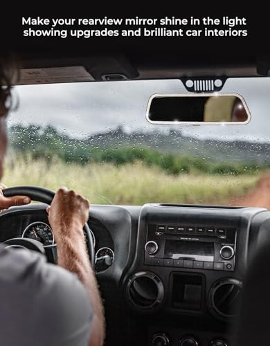 Rearvie Mirror